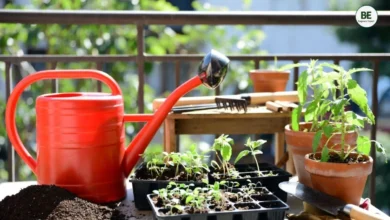 Beginner Gardening Tips 2026