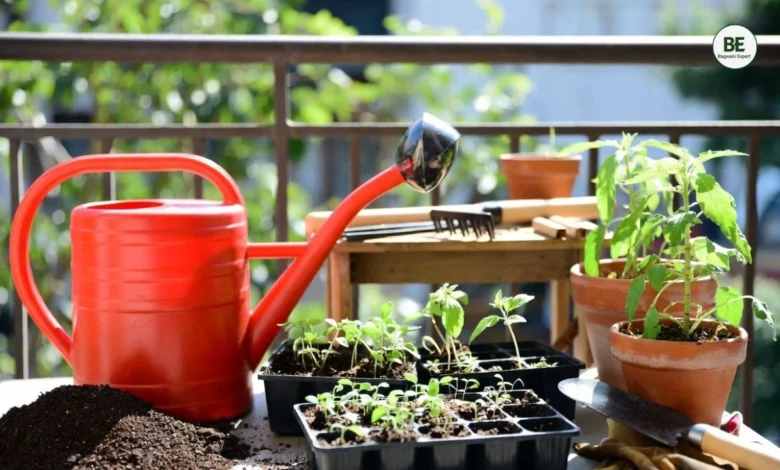 Beginner Gardening Tips 2026