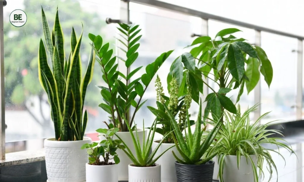 Beginner Gardening Tips 2026