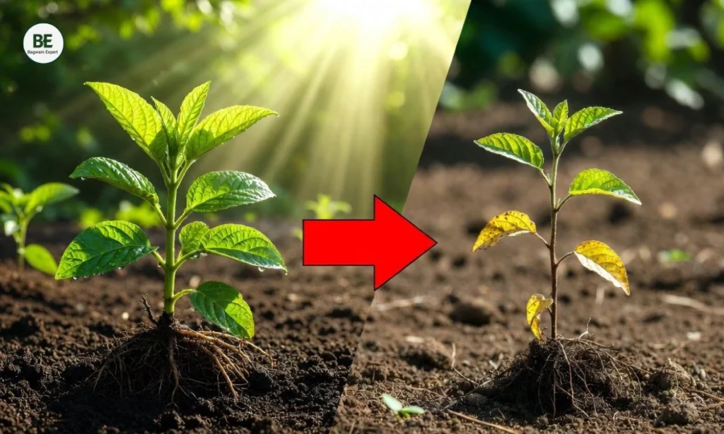 Beginner Gardening Tips 2026