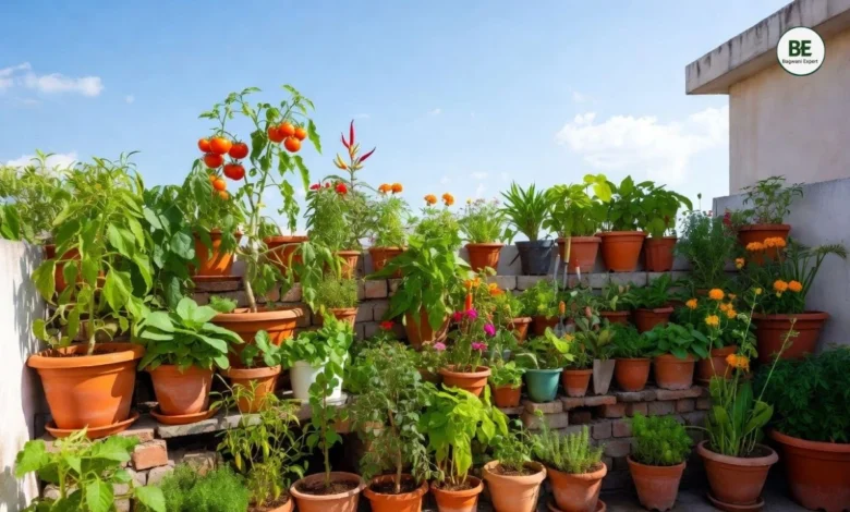 Terrace Gardening for Beginners 2026