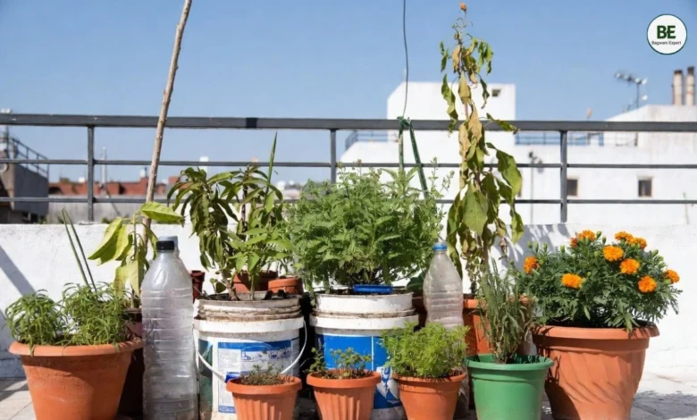 Mini Terrace Garden