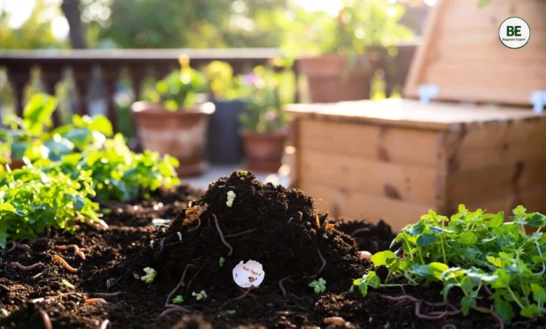Organic Compost at Home