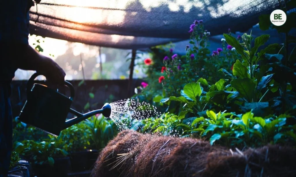 Garden Cooling Tips