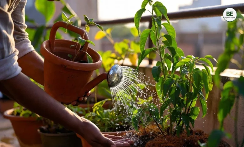 Plants Watering Guide