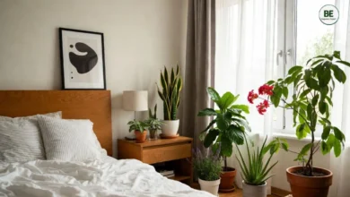 Best Indoor Plants for Bedroom