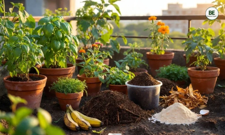 Best Fertilizer for Home Garden