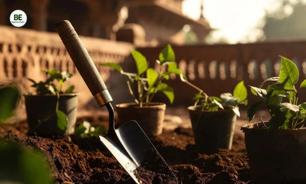 Essential Gardening Tools