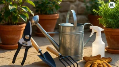 Essential Gardening Tools