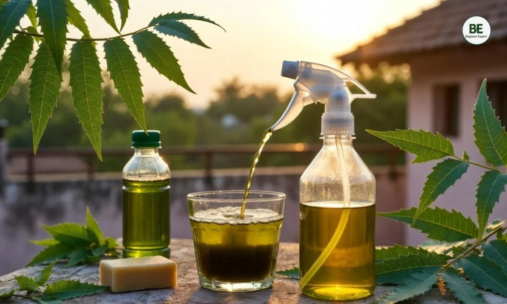 Neem Oil for Plants