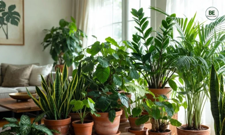 Indoor Gardening Tips